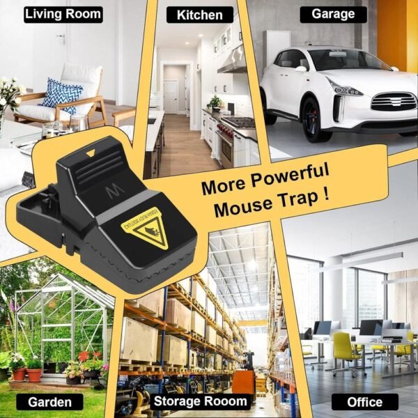 Mouse Traps Catcher pack of 3